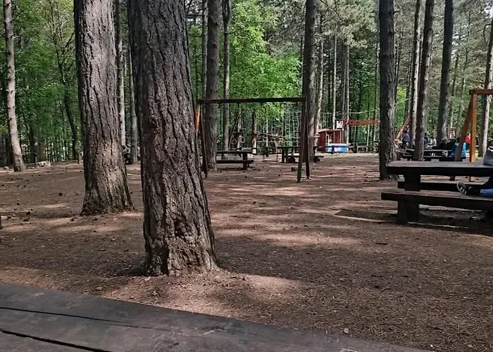 民宿 Soba Soko 索科矿泉村